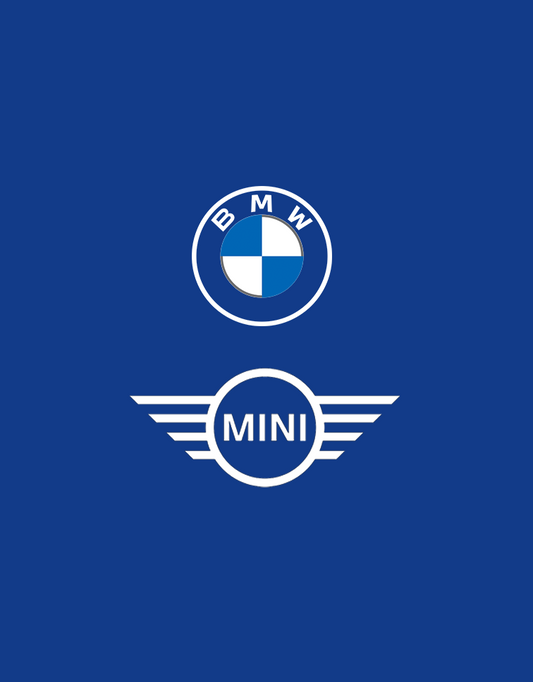 CAS CLONING SERVICE BMW/MINI